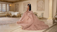 Load image into Gallery viewer, May Queen LK294
