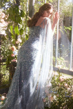 Load image into Gallery viewer, Cinderella Divine- A1370
