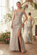 Load image into Gallery viewer, Cinderella Divine- A1370
