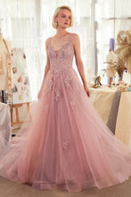 Load image into Gallery viewer, Cinderella Divine- A1417
