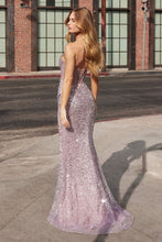 Load image into Gallery viewer, Cinderella Divine C164
