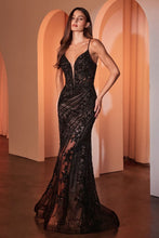 Load image into Gallery viewer, Cinderella Divine CC0389

