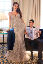 Load image into Gallery viewer, Cinderella Divine CC0389
