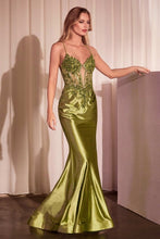 Load image into Gallery viewer, Cinderella Divine CC2401

