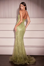Load image into Gallery viewer, Cinderella Divine CC416
