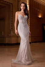 Load image into Gallery viewer, Cinderella Divine CC416
