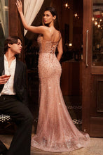 Load image into Gallery viewer, Cinderella Divine CC8801

