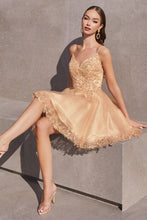Load image into Gallery viewer, Dama- CD0213
