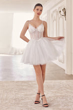 Load image into Gallery viewer, Dama- 0236
