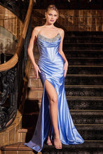 Load image into Gallery viewer, Ladivine- CDS529
