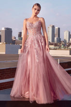 Load image into Gallery viewer, Ladivine- CDS533
