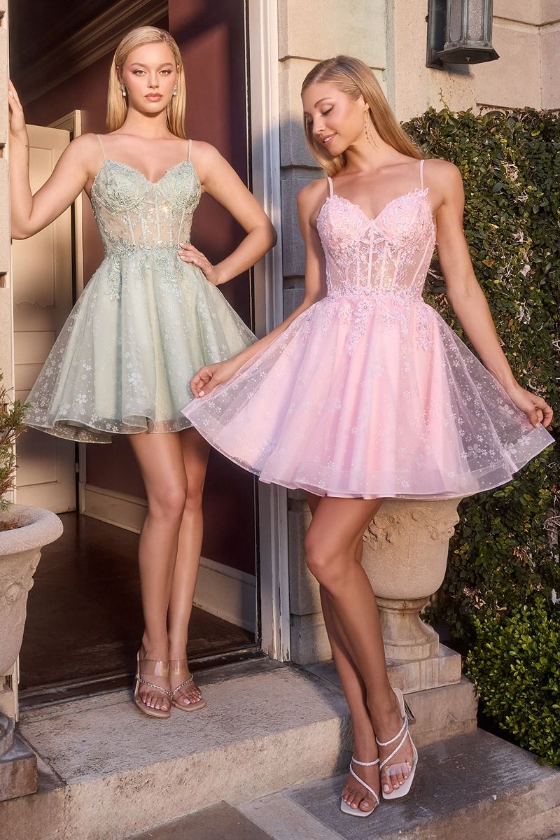 Cinderella Divine CJ419