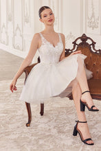 Load image into Gallery viewer, Dama- CY019
