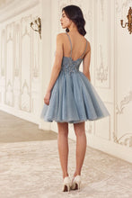 Load image into Gallery viewer, ladivine- CY022
