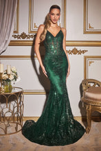 Load image into Gallery viewer, Cinderella Evening Dress J810
