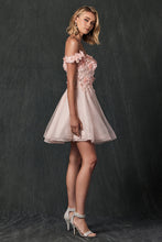 Load image into Gallery viewer, Juliet Collection 861
