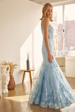 Load image into Gallery viewer, Juliet Collection 274
