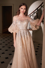 Load image into Gallery viewer, Cinderella Evening Dress B703
