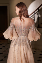 Load image into Gallery viewer, Cinderella Evening Dress B703
