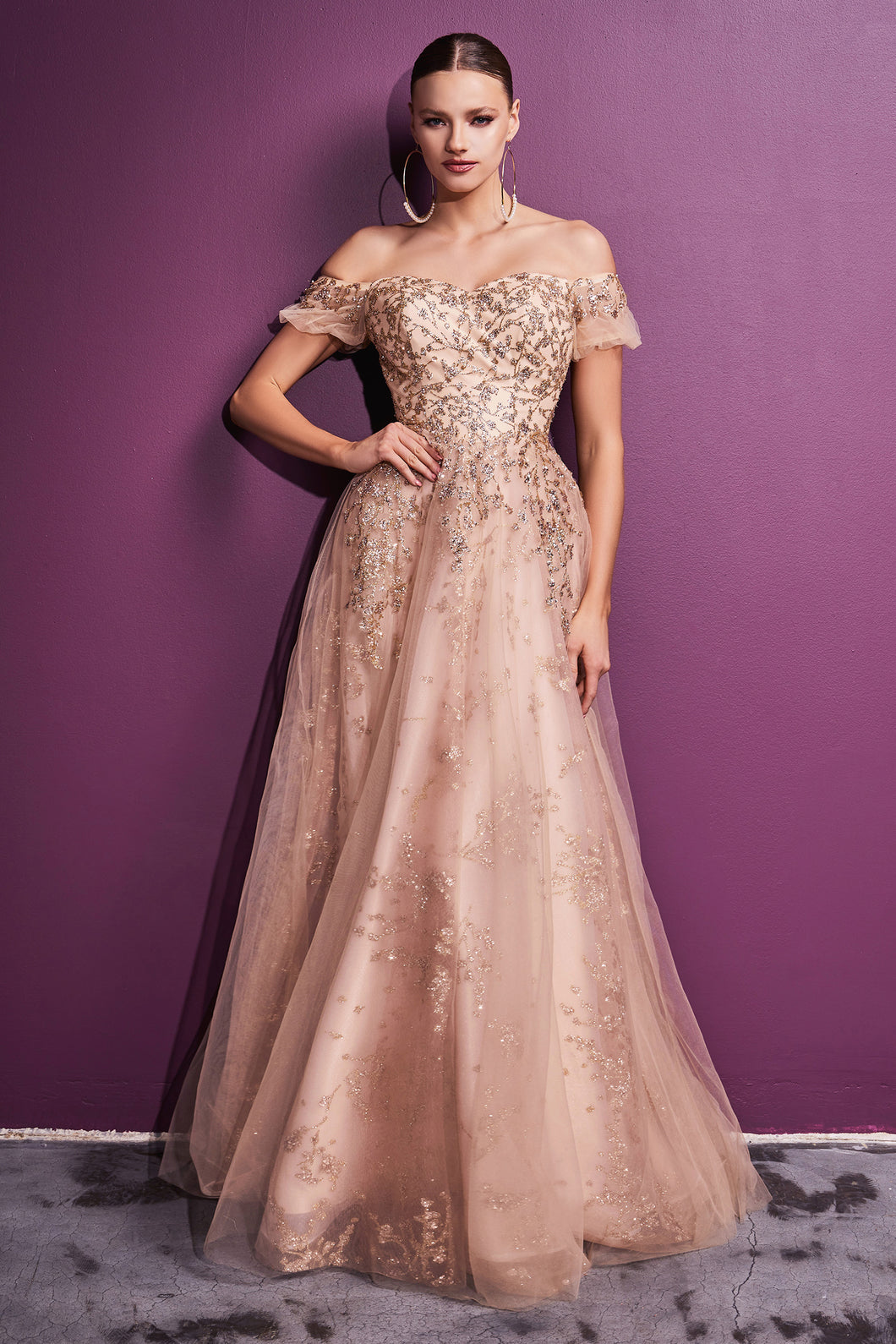 Cinderella Evening Dress C73