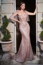 Load image into Gallery viewer, Cinderella Evening Dress CB093
