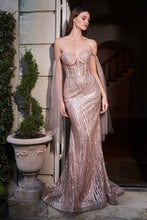 Load image into Gallery viewer, Cinderella Evening Dress CB093
