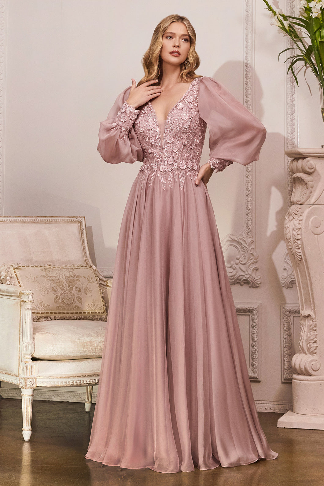 Cinderella Evening Dress CD0183