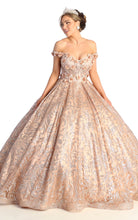 Load image into Gallery viewer, MayQueen Quinceañera Dress LK169
