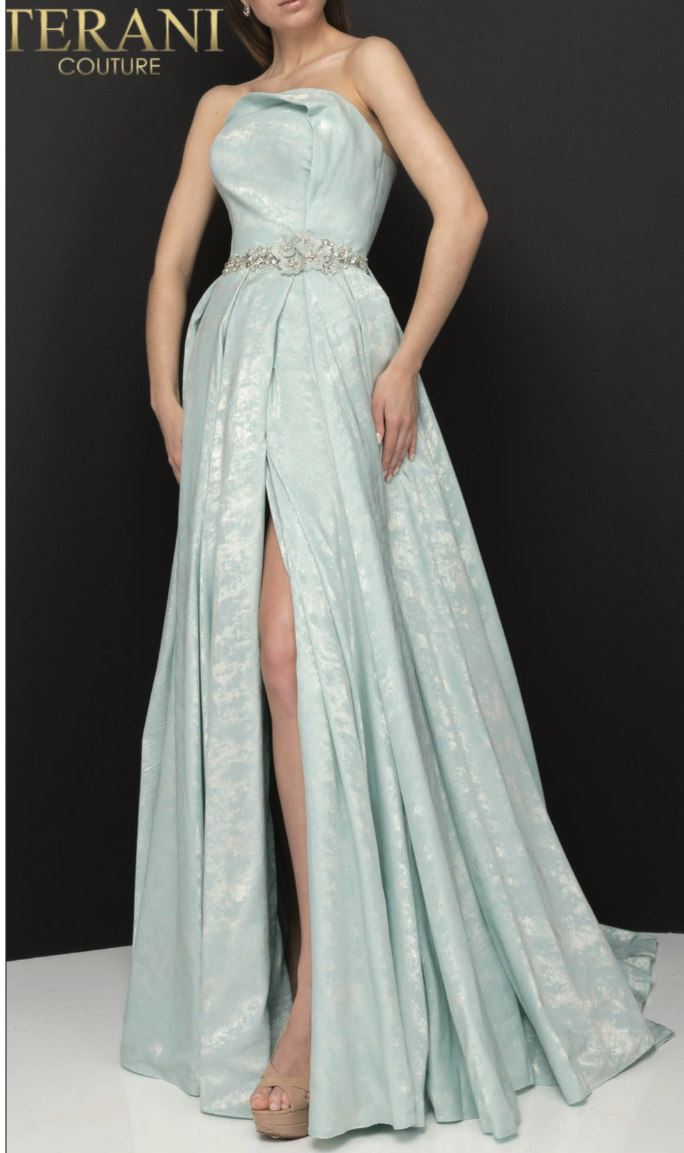 Terani Couture 2011M2127