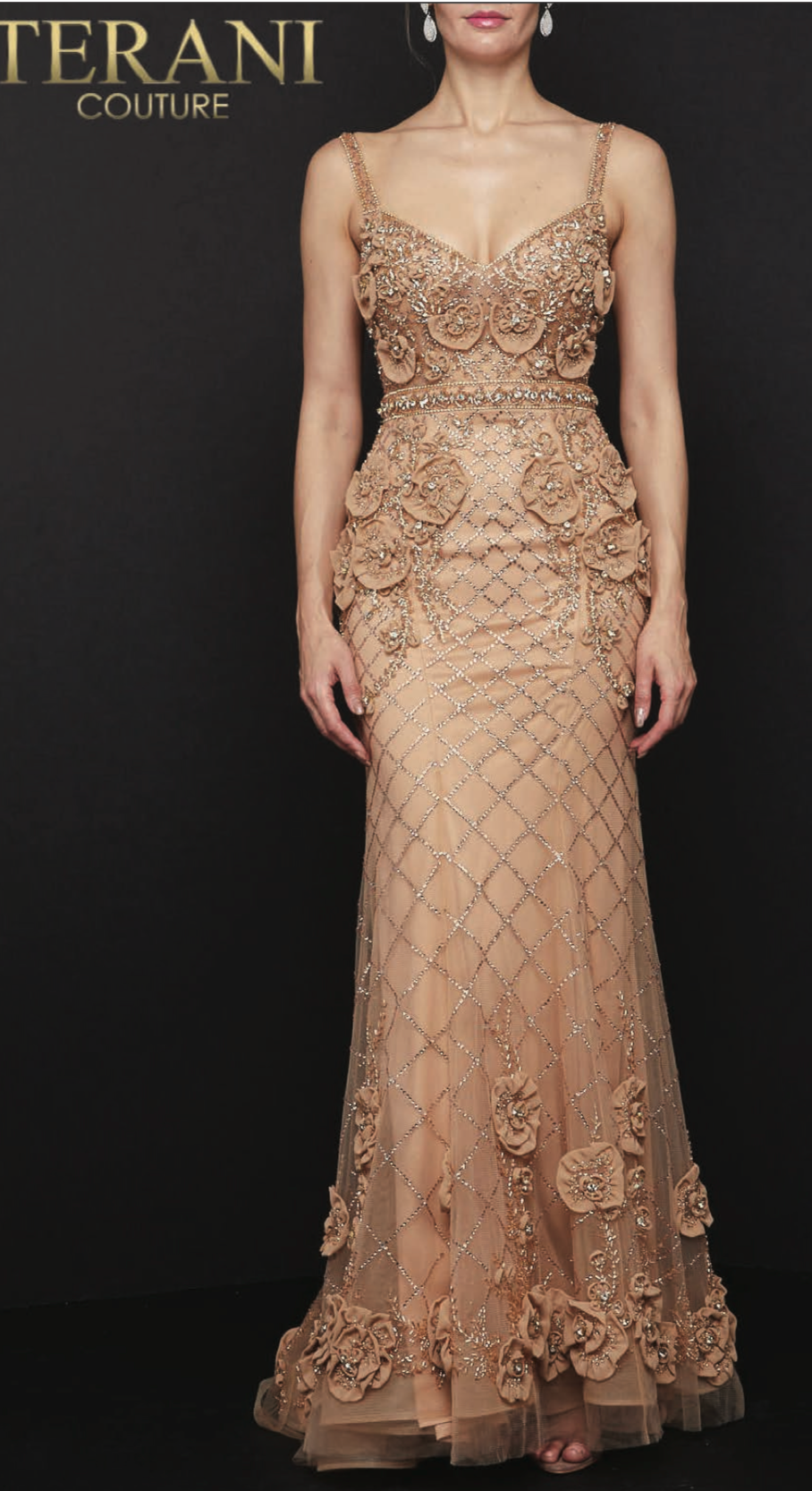 Terani Couture 2011GL2216