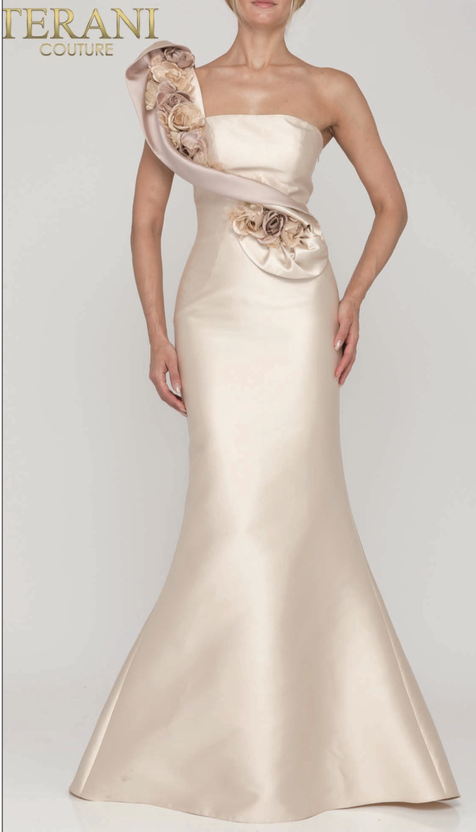 Terani Couture 2011E2424