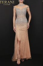 Load image into Gallery viewer, Terani Couture 2011p1057
