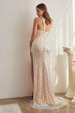 Load image into Gallery viewer, Cinderella Evening Dress C140
