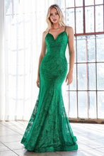 Load image into Gallery viewer, Cinderella Evening Dress CB049
