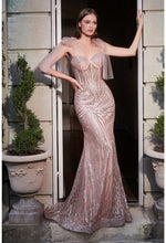 Load image into Gallery viewer, Cinderella Evening Dress CB093
