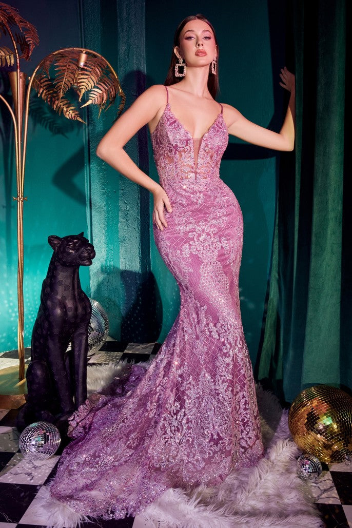 Cinderella Evening Dress CC2189