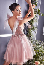 Load image into Gallery viewer, Cinderella Evening Dress CD0174
