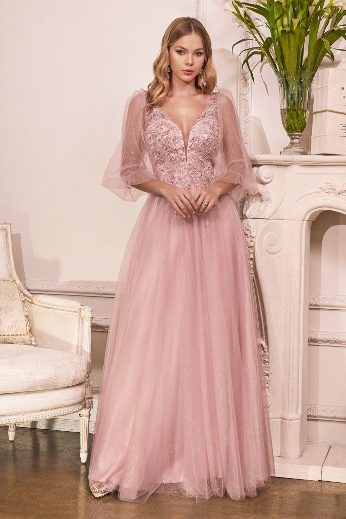 Cinderella Evening Dress CD0182