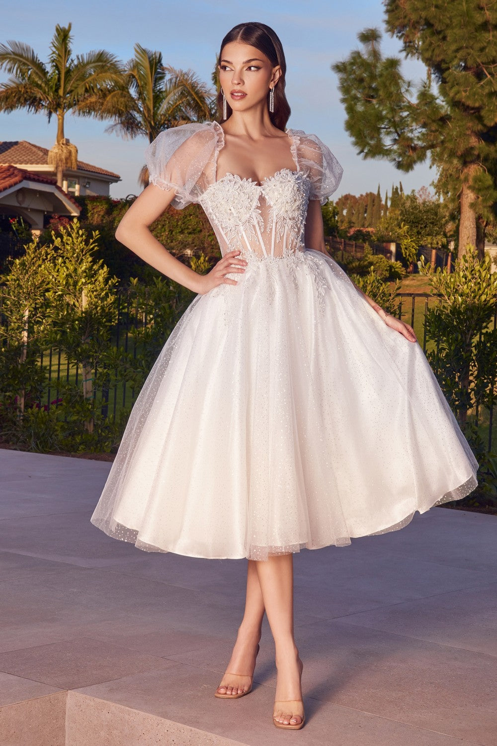 Cinderella Evening Dress CD0187W