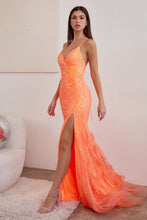 Load image into Gallery viewer, Cinderella Evening Dress CD0209
