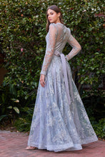 Load image into Gallery viewer, Cinderella Evening Dress CD233C
