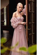 Load image into Gallery viewer, Cinderella Evening Dress CD962
