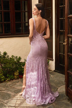 Load image into Gallery viewer, Cinderella Evening Dress CD967
