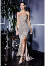 Load image into Gallery viewer, Cinderella Evening Dress CF199
