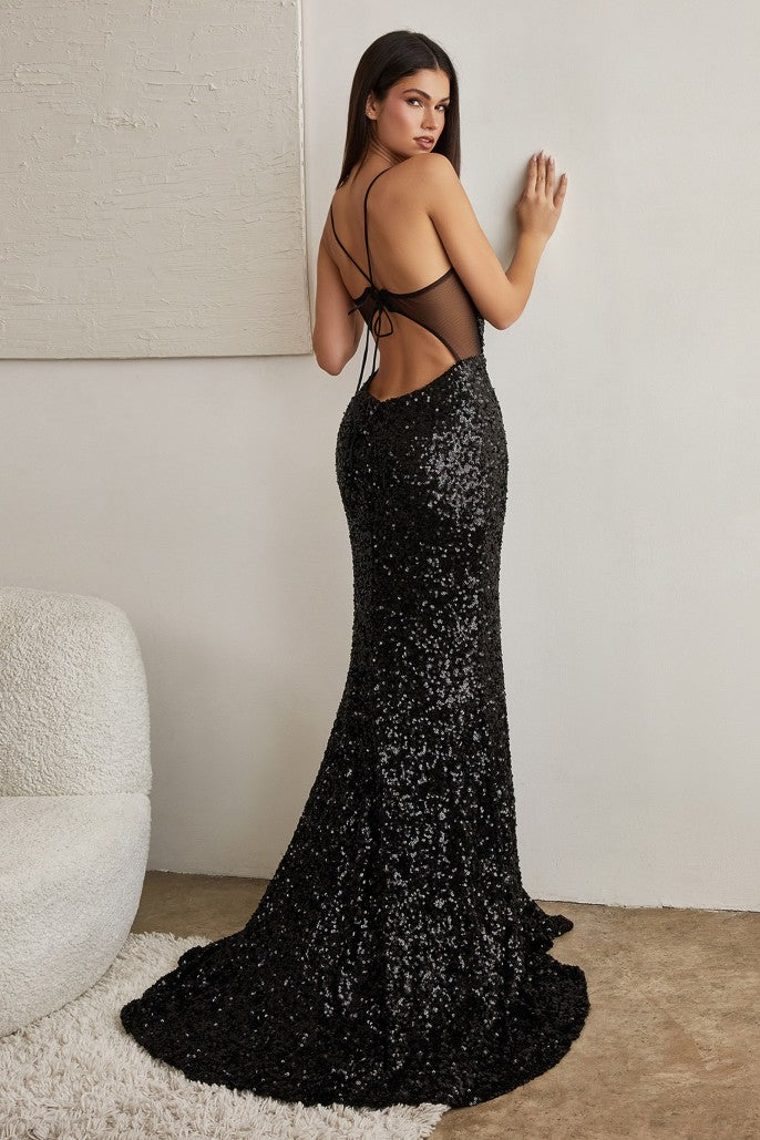 Cinderella Evening Dress CH127