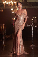 Load image into Gallery viewer, Cinderella Evening Dress CH167
