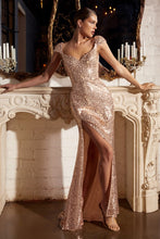 Load image into Gallery viewer, Cinderella Evening Dress CH171
