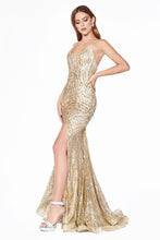 Load image into Gallery viewer, Cinderella Evening Dress CR844
