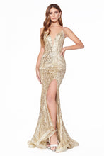 Load image into Gallery viewer, Cinderella Evening Dress CR844
