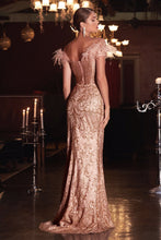 Load image into Gallery viewer, Cinderella Evening Dress J824
